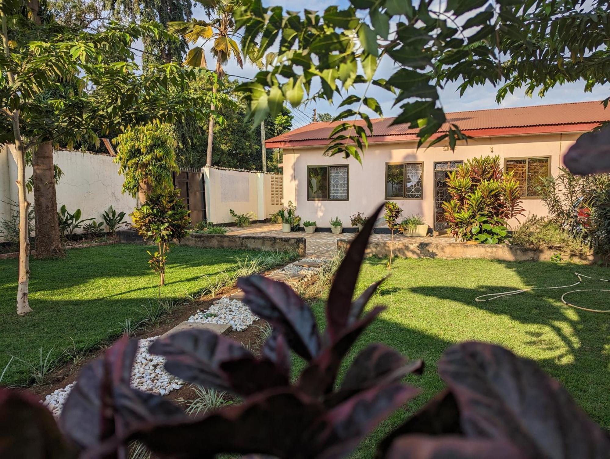 The Lion King Homestay Moshi Luaran gambar